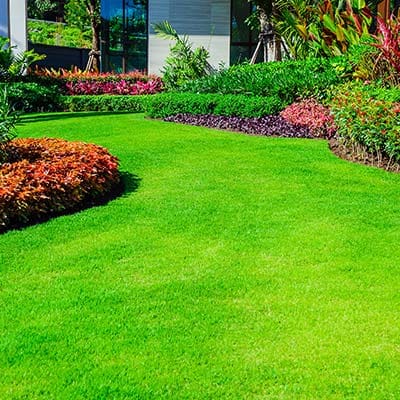 aeration overseeding franklin brentwood tn yard aerate